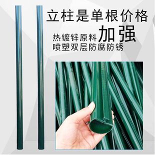 立柱铁丝网防护防撞燕尾柱荷兰网果园围网柱高速公路隔离养殖铁管