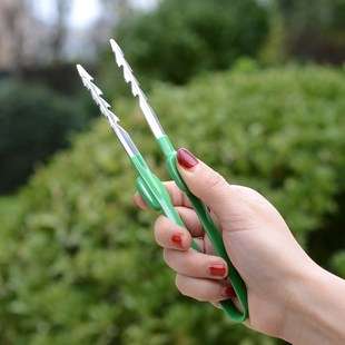 花盆拔草b器盆栽拔草夹子镊子钳子除草工具不锈钢家用种菜园艺工