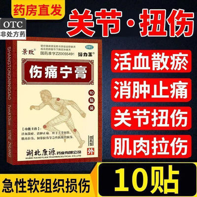 【康源】伤痛宁膏10贴/盒