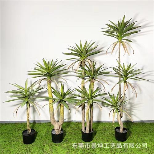 仿真剑麻盆栽北欧人造绿植仿真荷兰铁道具供应仿真龙血树源厂