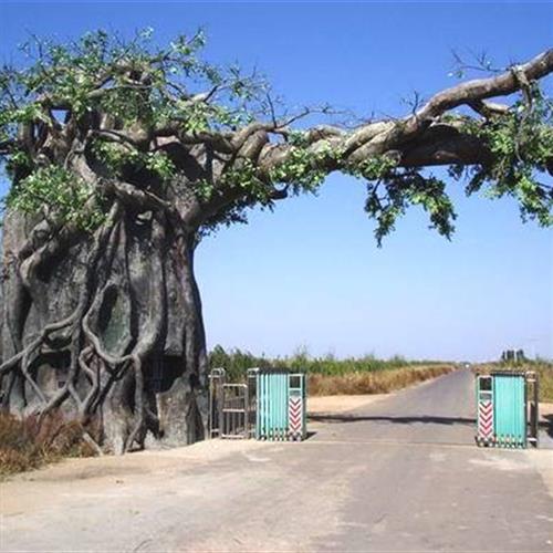 厂家供应仿真许愿榕树酒店商场展厅装饰树景观风景造型树定制