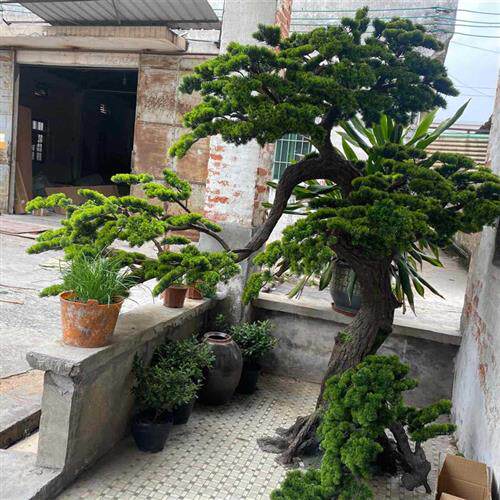 玻璃钢仿真柏树仿真松树室内室外摆件塑料绿植大型仿真落地树