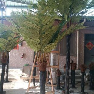 工厂定制仿真桫椤树恐龙馆绿化生态玻璃钢桫椤树造景工程娑罗树