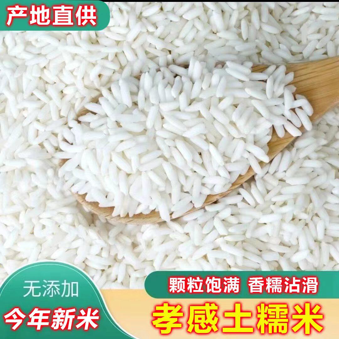 湖北孝感新鲜长粒糯米新米珍珠糯米5斤酿酒包粽子糍粑纯正江米