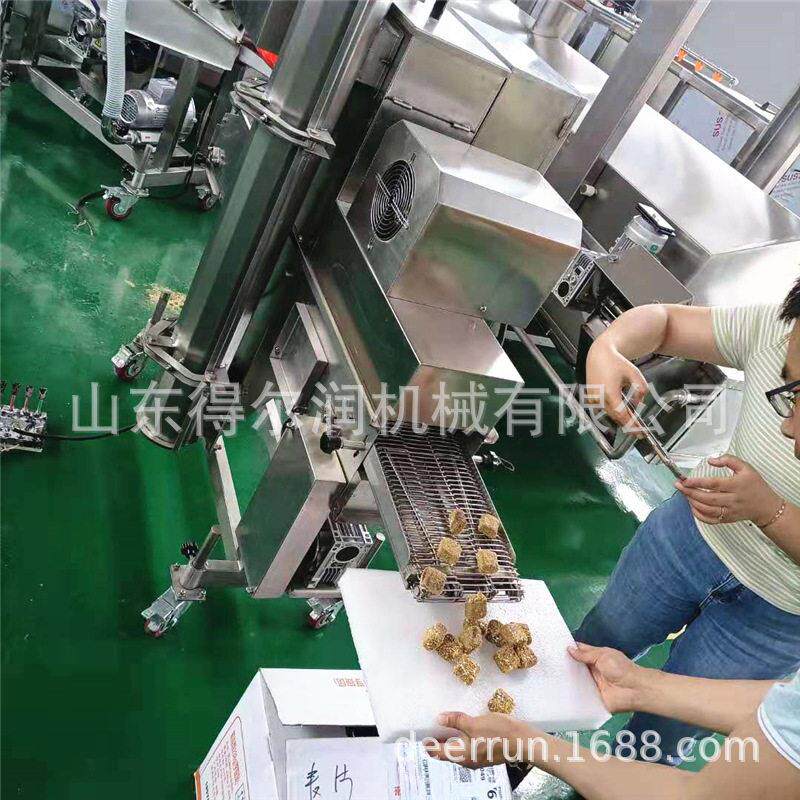 隧道式撒花生碎机器休闲食品裹粉机小型上面包糠机双面均可