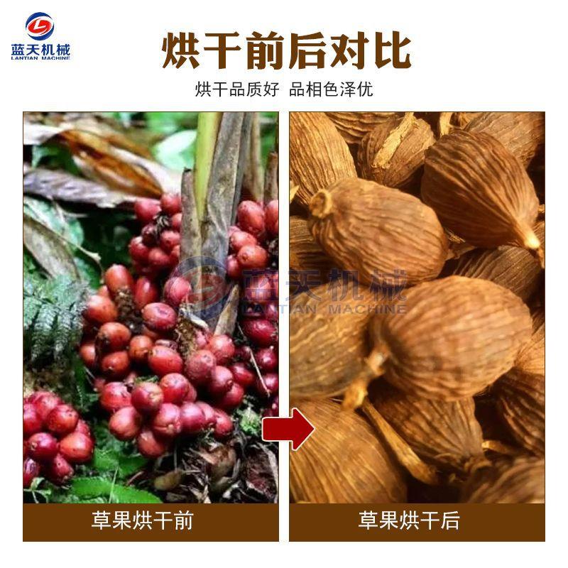 大型设草果DGK烘干草机连续老蔻果子干燥机式云南网带草果仁烘干
