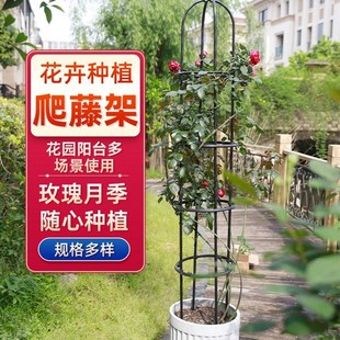极速花架爬藤架藤本月q季攀爬阳台花柱藤架户外花盆花支架花柱铁