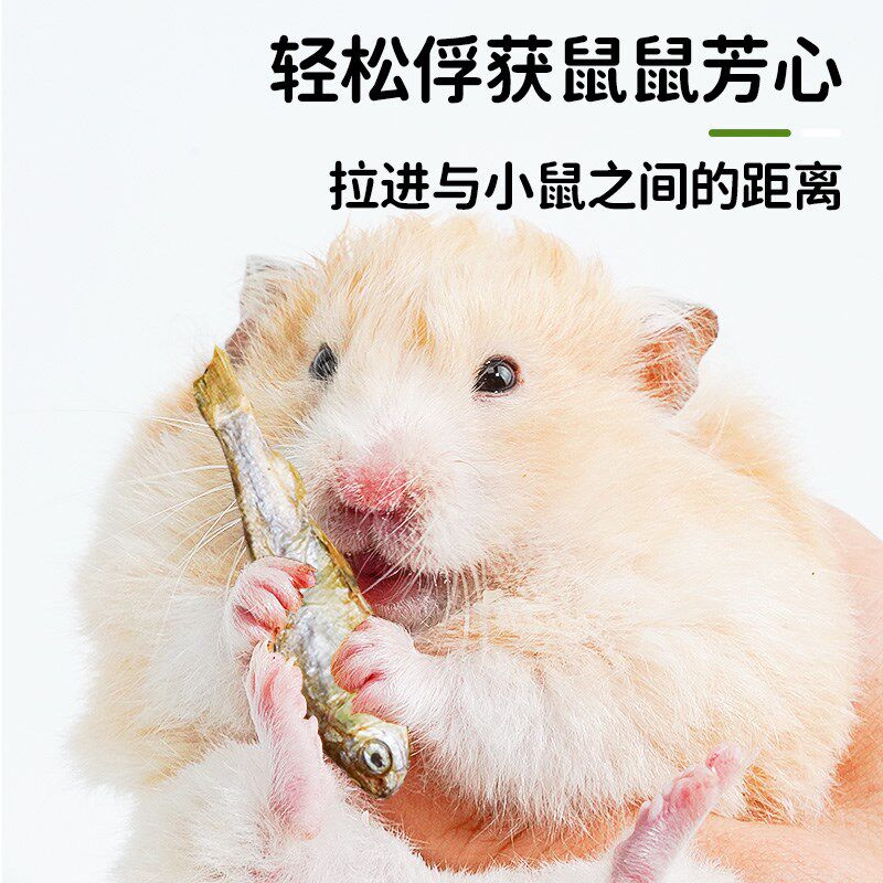 新品仓鼠零食粮食大礼包金丝熊y面包虫干主粮用品小冻干豆腐磨牙