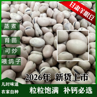 生蚕豆大豆胡豆蚕豆干