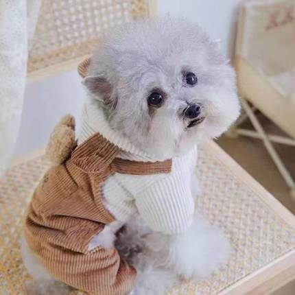宠物比熊小型犬泰迪狗狗衣服秋冬装冬季棉衣灯芯绒小熊背带四脚衣