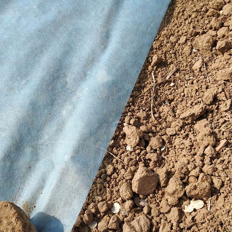 新全新料蓝色无纺布整卷农用育秧育苗无纺布地膜包树W土球布建筑,农机/农具/农膜,农用薄膜,淘宝优惠券,粉丝福利购,淘宝优惠卷