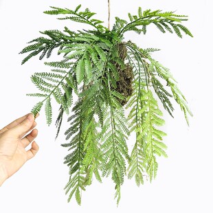 新植物空气餐厅吊装花艺柜顶装饰绿植吊挂装饰仿真V吊兰大号垂吊