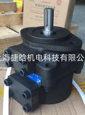 液压 叶片式油泵 YB-B60B-DU-FL-50 YB-B74B-DU-FL-50