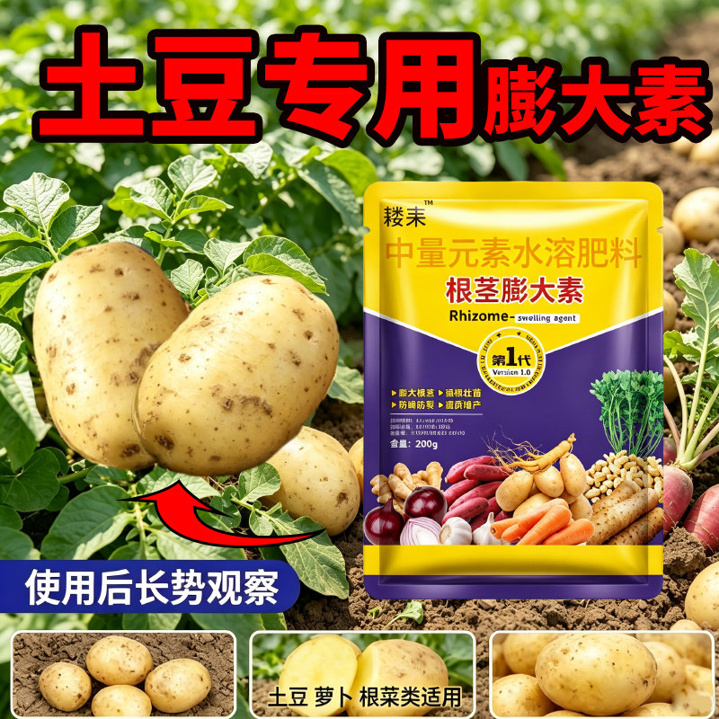 土豆专用膨大素土豆控旺防裂肥料土豆地下猛长增产增大专用叶面肥