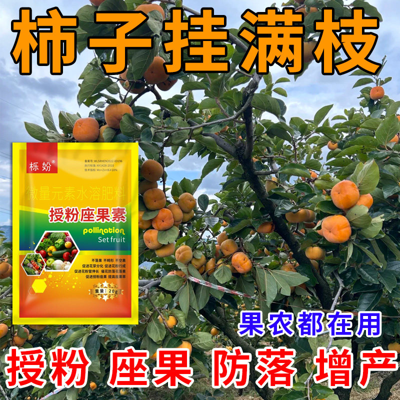 柿子授粉座果精无需粘花催花坐果灵茄瓜授粉露保花保果专用剂