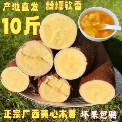 【批发装】黄心木薯新鲜现挖广西当季黄肉面包木署板栗红薯糖水店