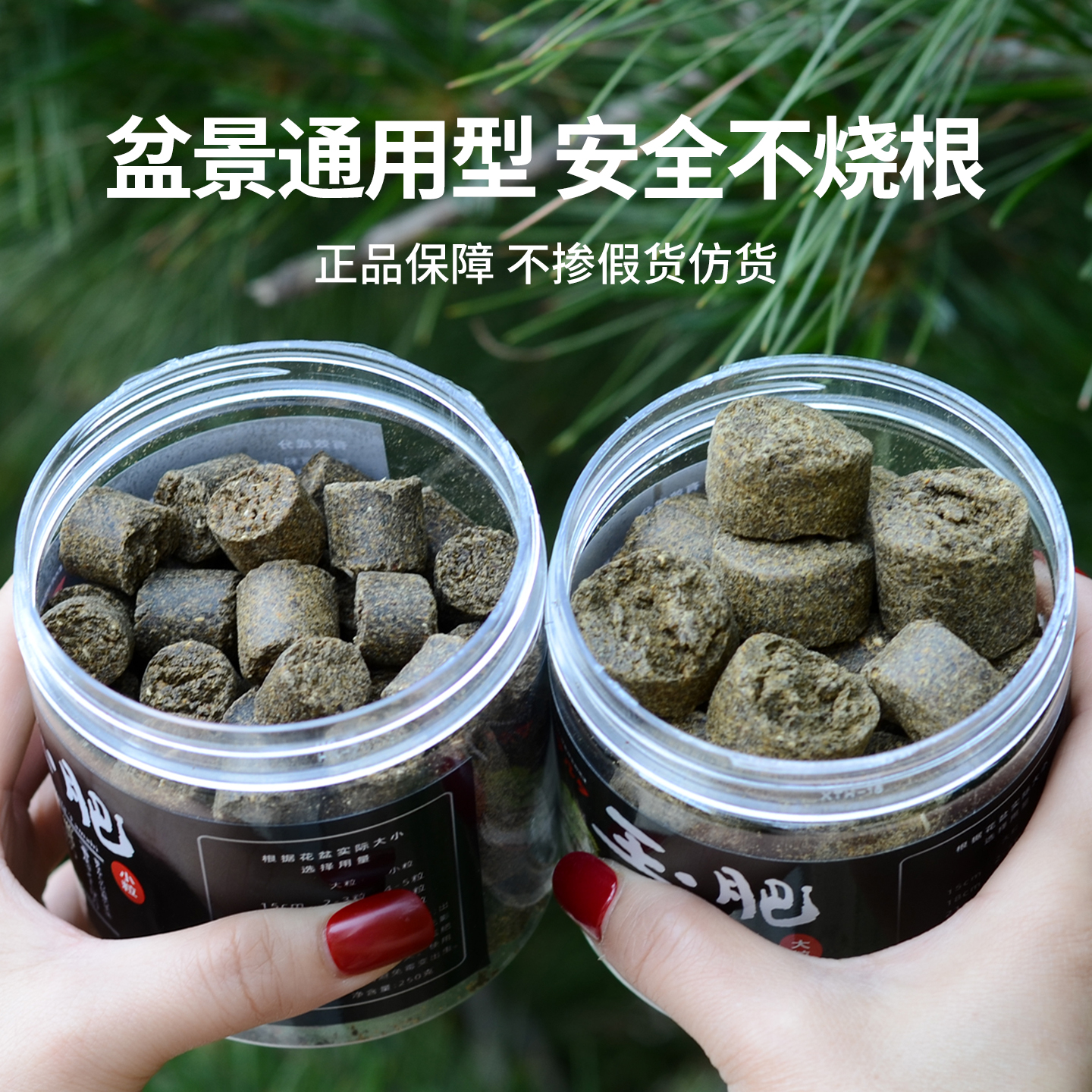 日本进口玉肥盆景专用颗粒高级玉肥原装进口兰花盆景有机缓释玉肥