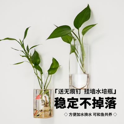 花百事壁挂水培花瓶水培植物花瓶