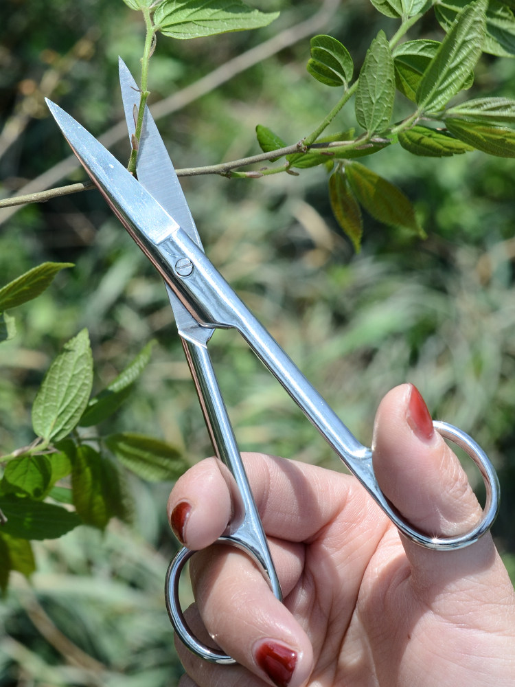 꽃 펩시 분재 가위 원예 전정 가위 잎싹가위 다육 뿌리 전정 참수 작은 가위 다육 분재 도구