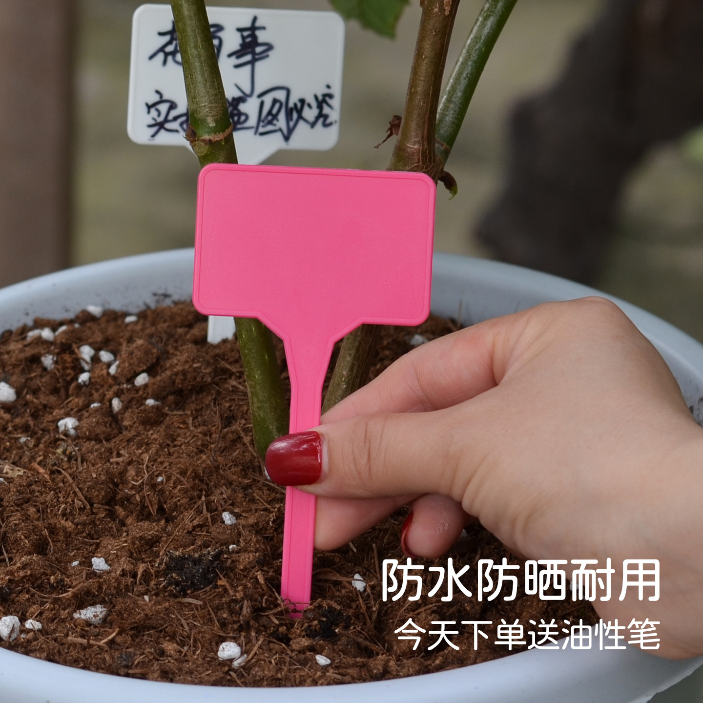 花百事植物花卉养护标签牌防水图片