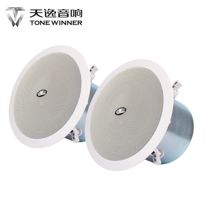 Winner/天逸 TS-6/TS-8 吸顶同轴喇叭全景声影院嵌入式顶置扬声器