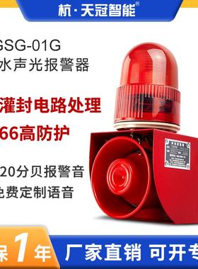 TGSG-01G室外防水声光报警器港口码头户外防尘防雨报警器IP66