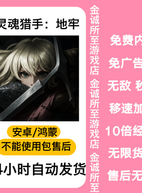 Soul Huntress 灵魂猎手新版 安卓鸿蒙游戏 功能看主图 自动发货