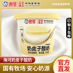 海河牛奶低温奶皮子酸奶顺丰风味奶发酵乳120g 6盒