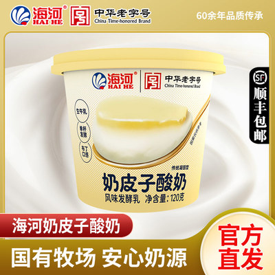 海河牛奶低温奶皮子酸奶120g*6盒