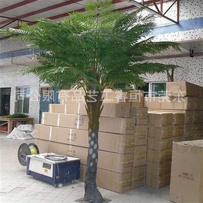 东莞仿真植物桫椤树仿真桫椤树系列各种景观工程仿真娑罗树定制