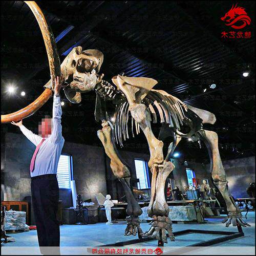 猛犸象仿真骨架化石标本古生物骨头科普模型定制博物馆展品定制