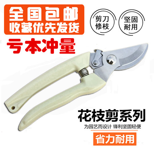 园艺修枝剪花园果树修枝剪刀家用修剪树枝剪粗枝花剪园林工具包邮