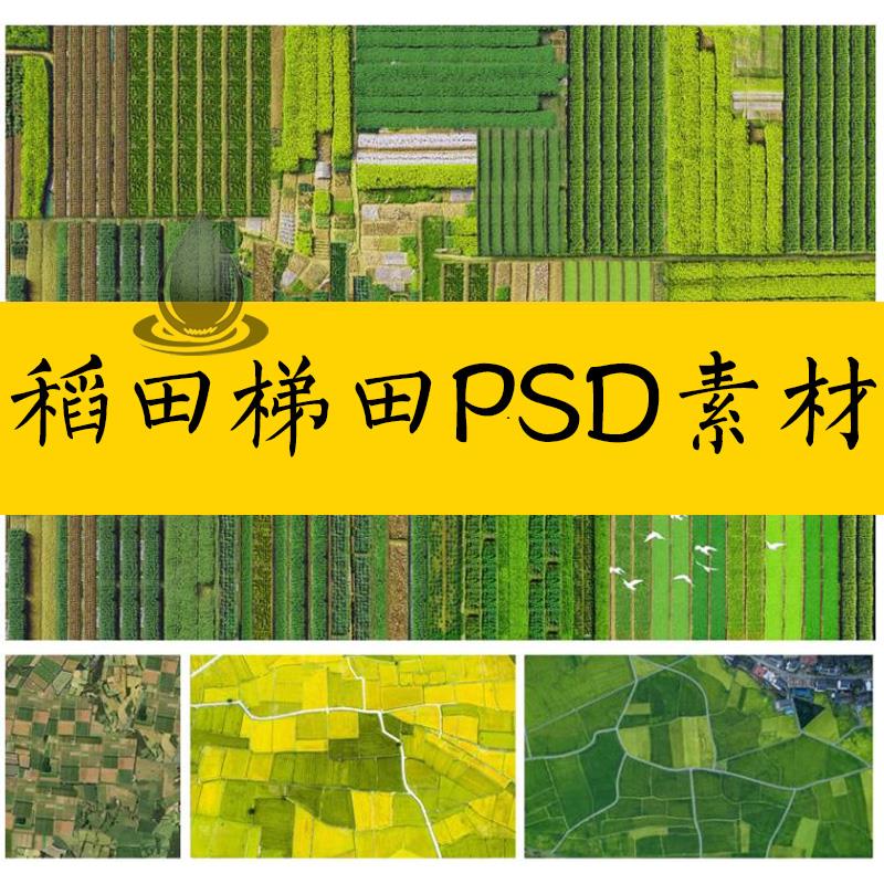 乡村稻田梯田菜地贴图ps素材psd免扣田园景观农田平面鸟瞰效果图
