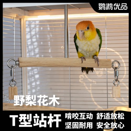 鹦鹉野梨花木T型站杆站棍