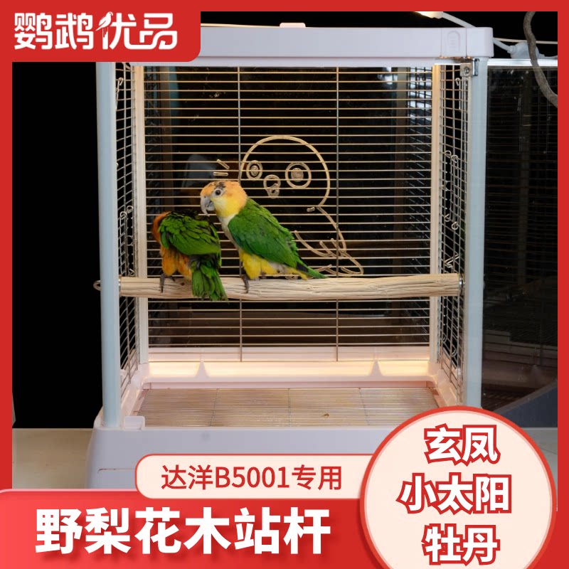达洋5001野梨花木长站杆站棍鸟笼凯克和尚中型鹦鹉手工diy不锈钢图片