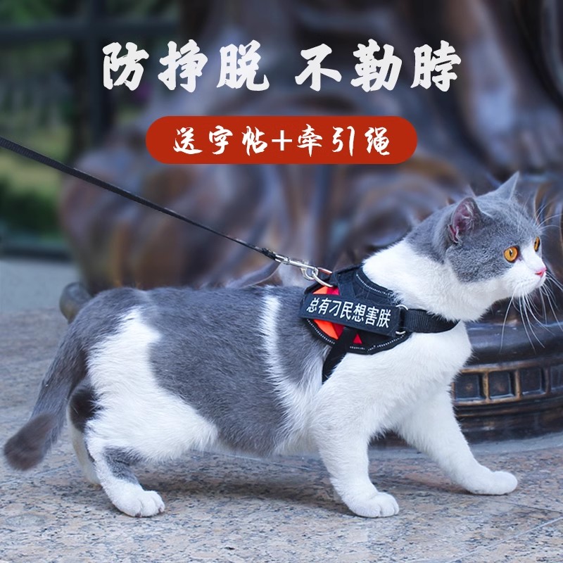 极速猫咪牵引绳防挣脱p外出背心式溜猫绳子胸背带可调节宠物遛猫