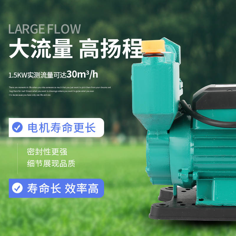 永陆直流抽水机家用12v24vv48v60v72v抽水泵水井便携式小型自吸泵