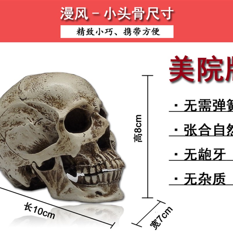 极速艺用b人体肌肉骨骼骷髅头骨绘画参考胸像解剖头颅模型美术中
