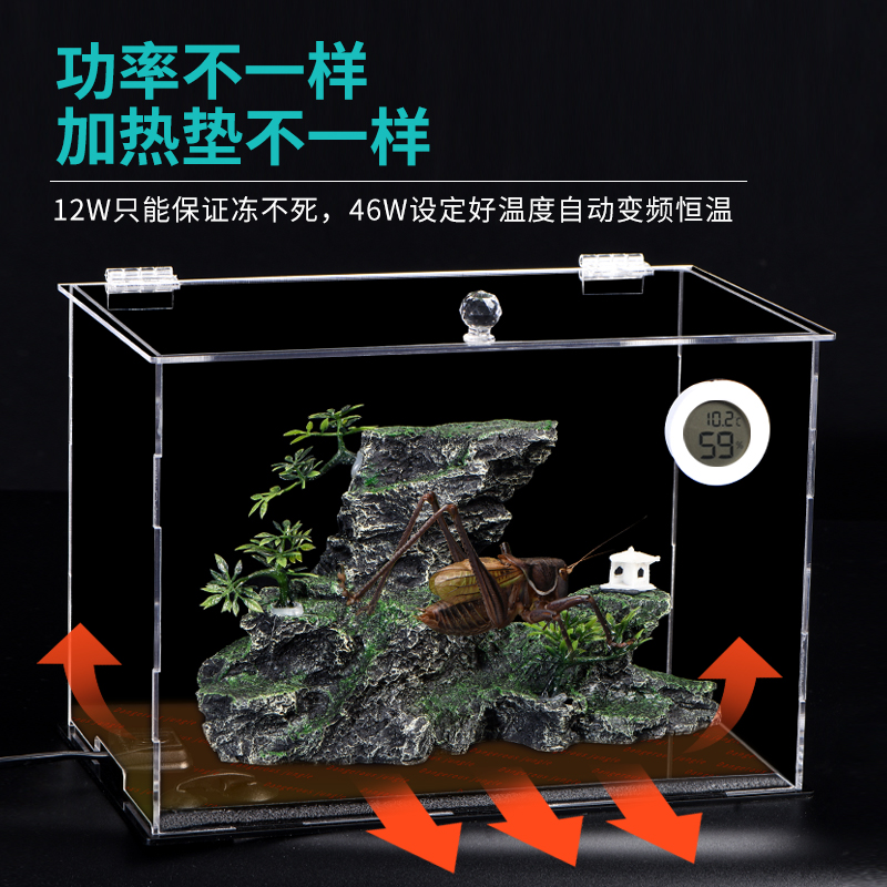 极速蝈蝈宠物保温箱爬p宠饲养箱刺猬蜥蜴陆龟角蛙爬虫箱pvc守宫生