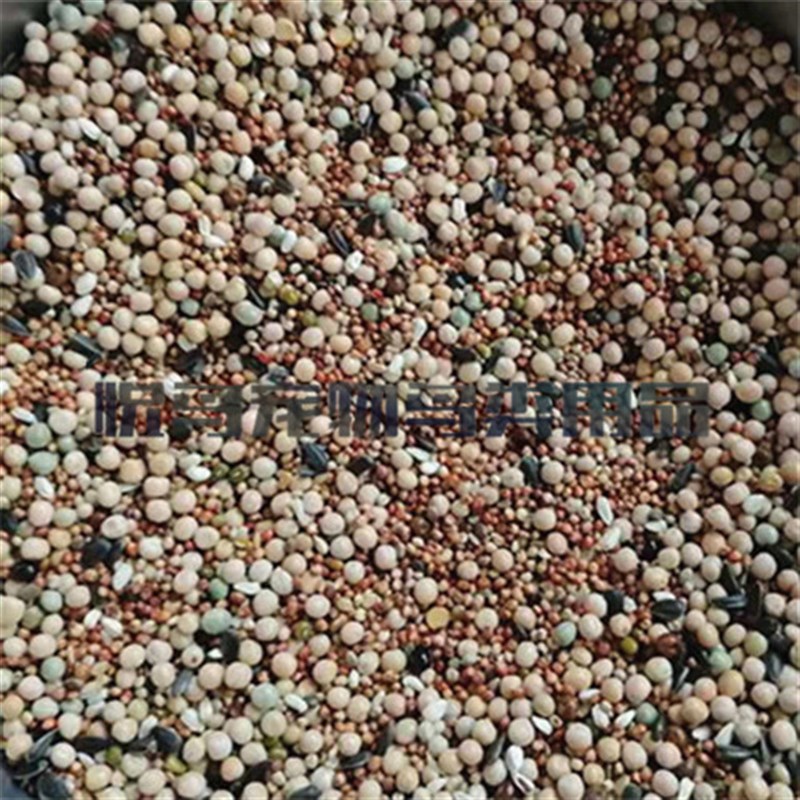 极速无玉米e无小麦鸽粮50斤广东 鸟食 免邮鸽饲料 广东 信鸽料