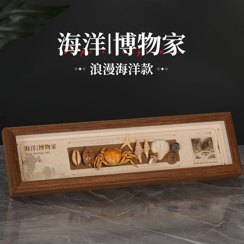 辛巴日记天然贝壳化石宝石标本海螺相框diy手工摆件乔迁送礼家居