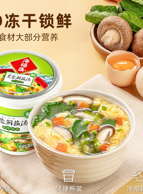 海福盛方便速食汤芙蓉鲜蔬汤杯装FD冻干菜蛋花速溶汤酸辣冲泡即食
