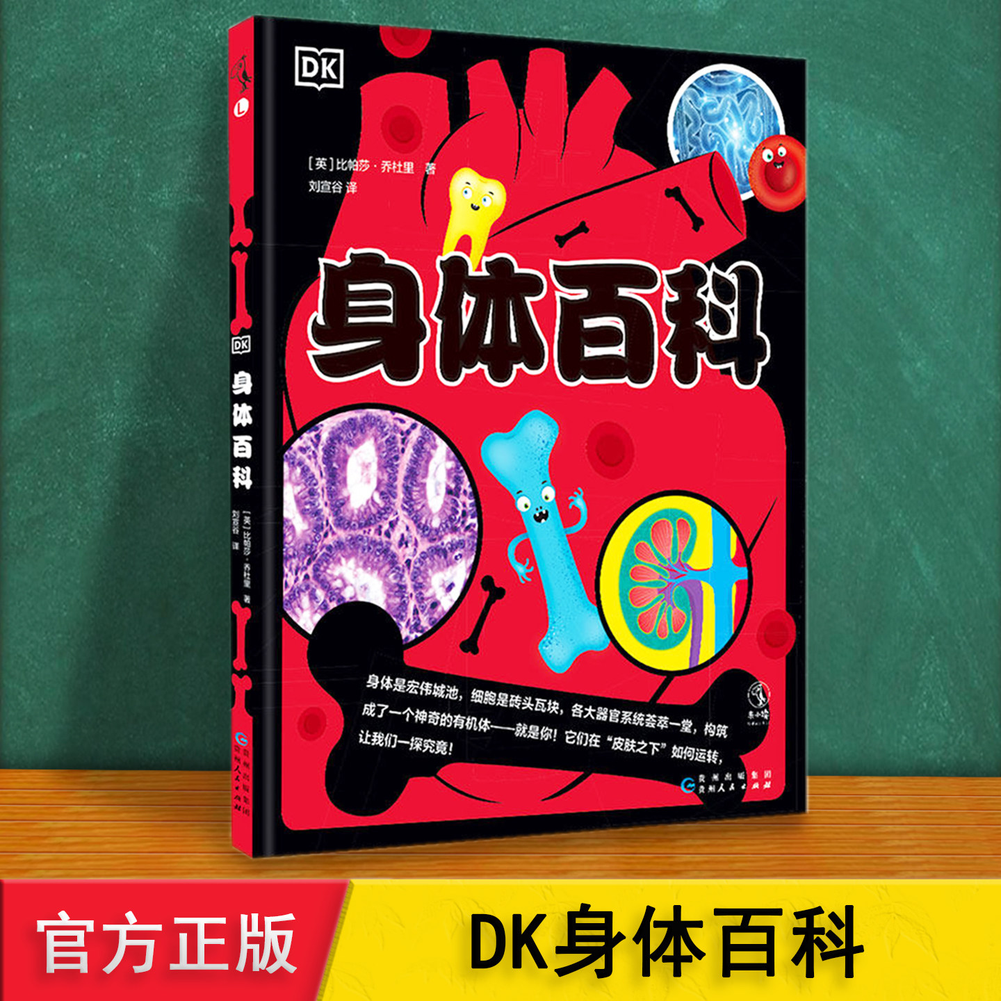 DK身体百科 精装漫画 28主题介绍身体的组成功能运转大脑血管骨骼心脏生理健康知识趣味科普绘本 6912岁儿童小学生课外阅读故事书