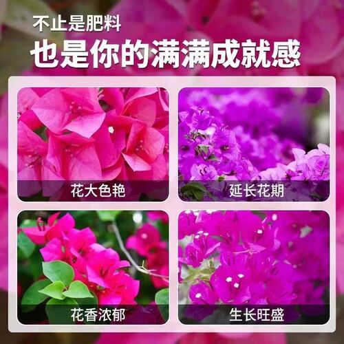 新三角梅开花专用营养液肥促花爆花骨H粉复合肥料养花枝繁叶茂促