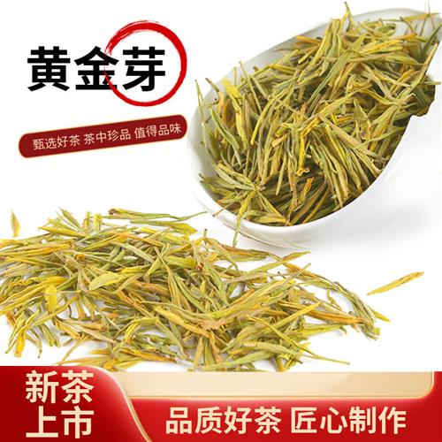 正宗广德黄金芽茶叶礼盒装安吉白茶2024年新茶明前特级茶250g嫩芽