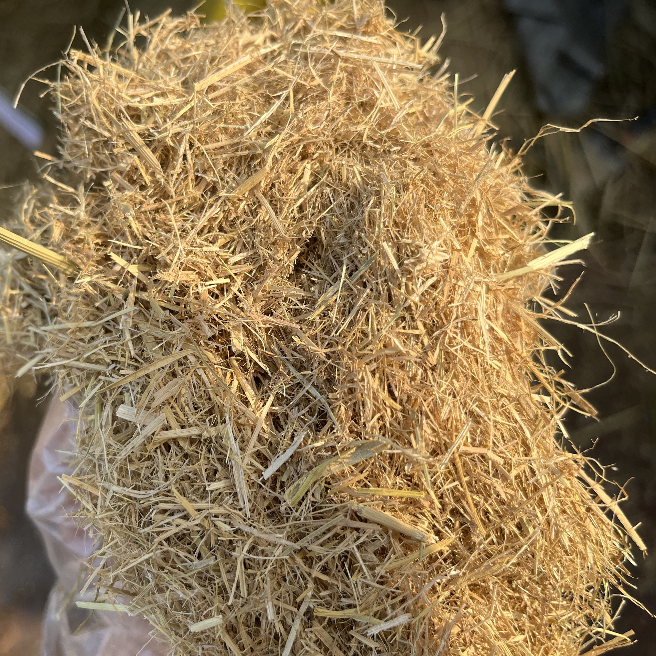 稻草纤维粉碎稻草漆泥土墙天然粉墙面古建筑粉墙面 草筋灰 碎稻草,鲜花速递/花卉仿真/绿植园艺,打草绳等其他绳子,淘宝优惠券,粉丝福利购,淘宝优惠卷
