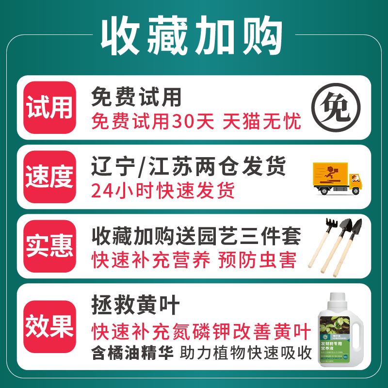 发财树营养液专用肥花肥料室内盆栽植物金钱树土水培通用绿植家用