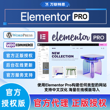 Elementor Pro官方正版授权Key激活WordPress网站页面编辑器插件