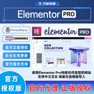 Elementor Pro官方正版授权Key激活WordPress网站页面编辑器插件