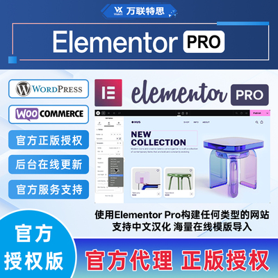 ElementorPro官方正版授权激活